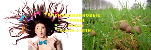 марки nbome Горняк