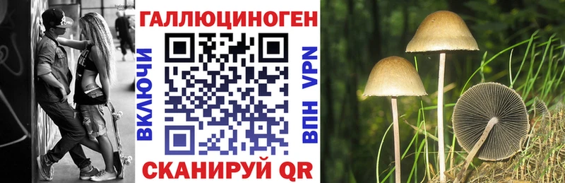 даркнет сайт  Спас-Деменск  ОМГ ОМГ зеркало  Псилоцибиновые грибы MAGIC MUSHROOMS 